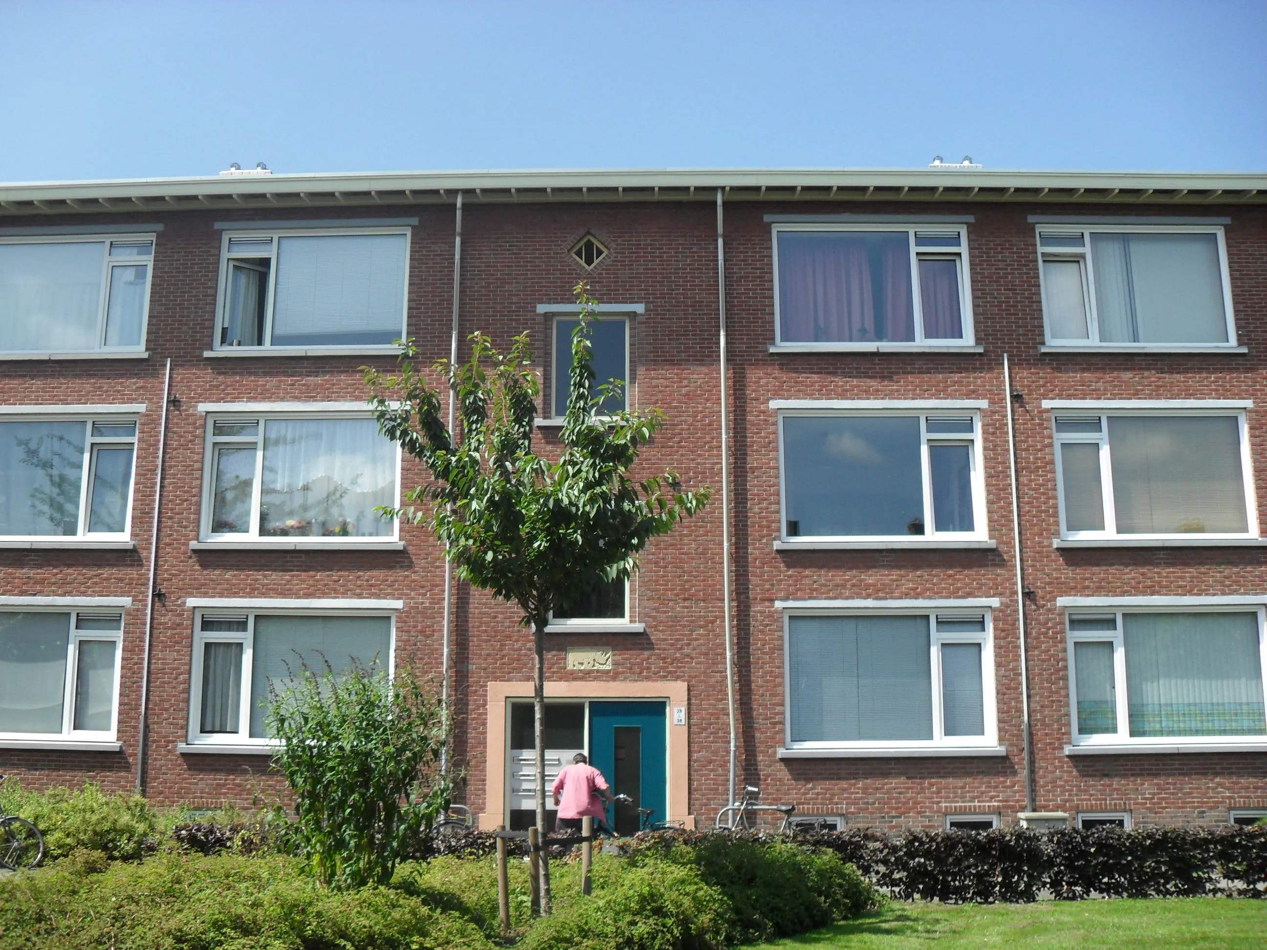 Johan de Wittstraat