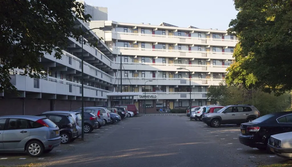 Tarweveld
