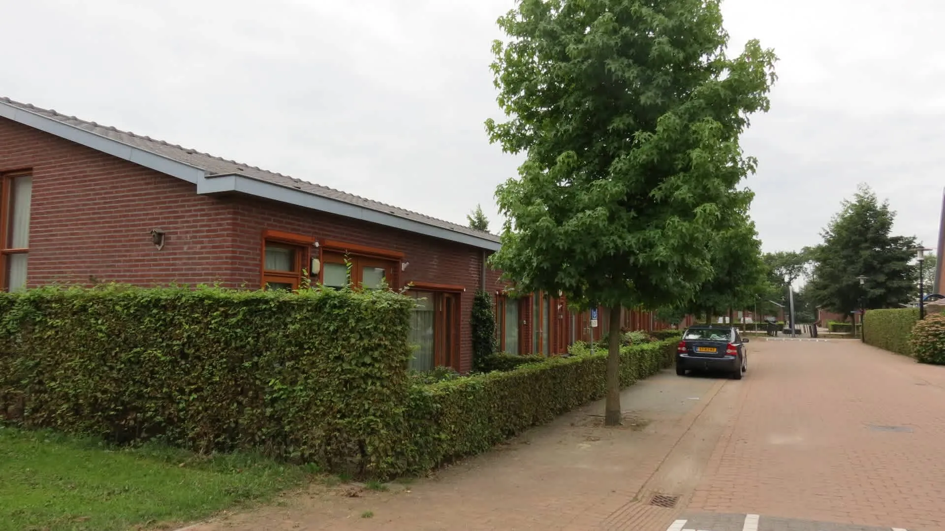 Rietstraat