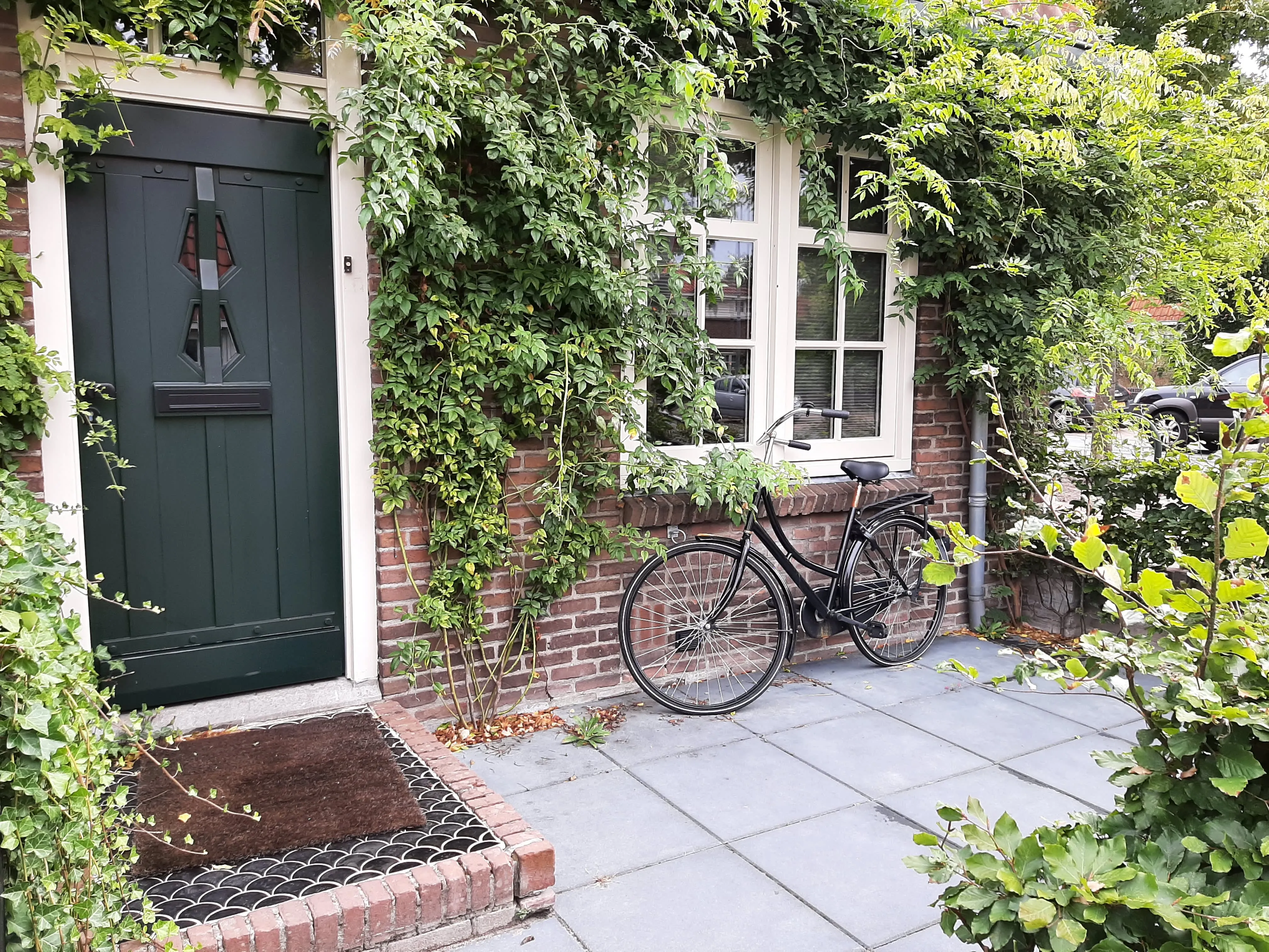 Korenbloemstraat