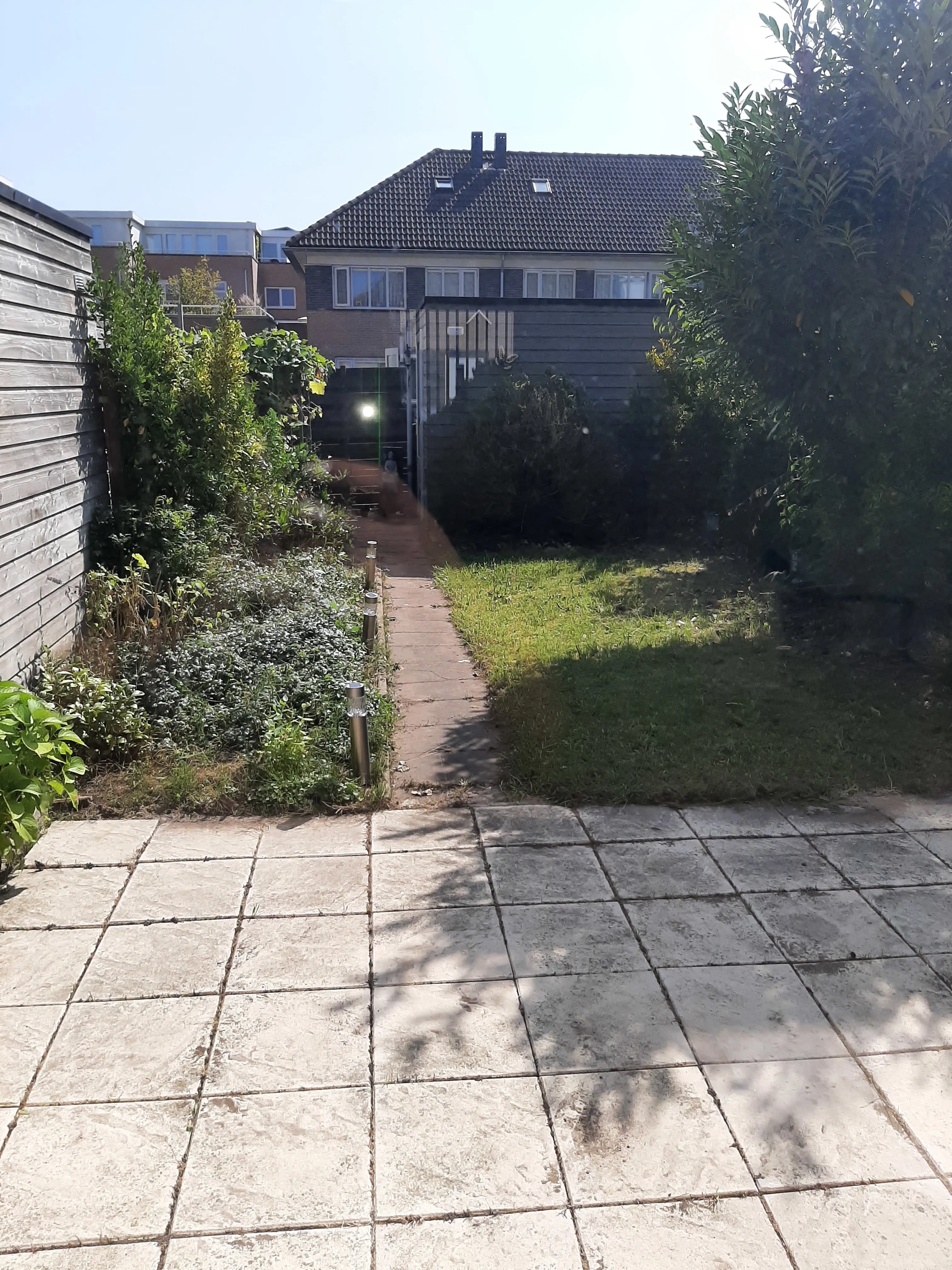 Ribesstraat