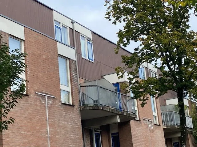 Betuwe