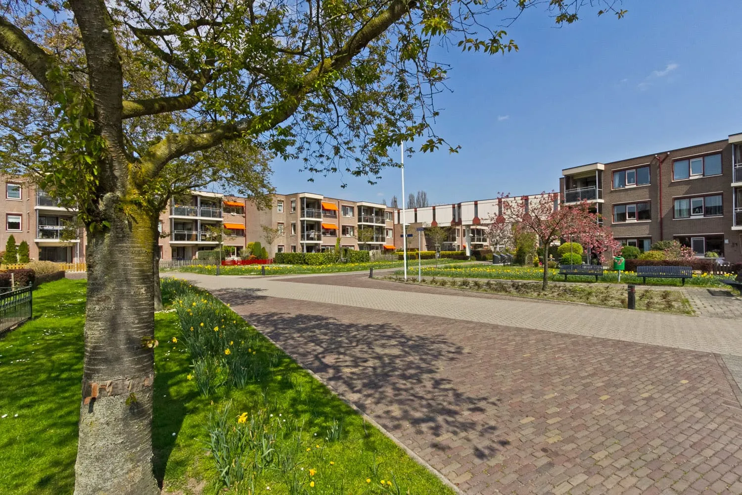 Klarinet 331 3766GP Soest