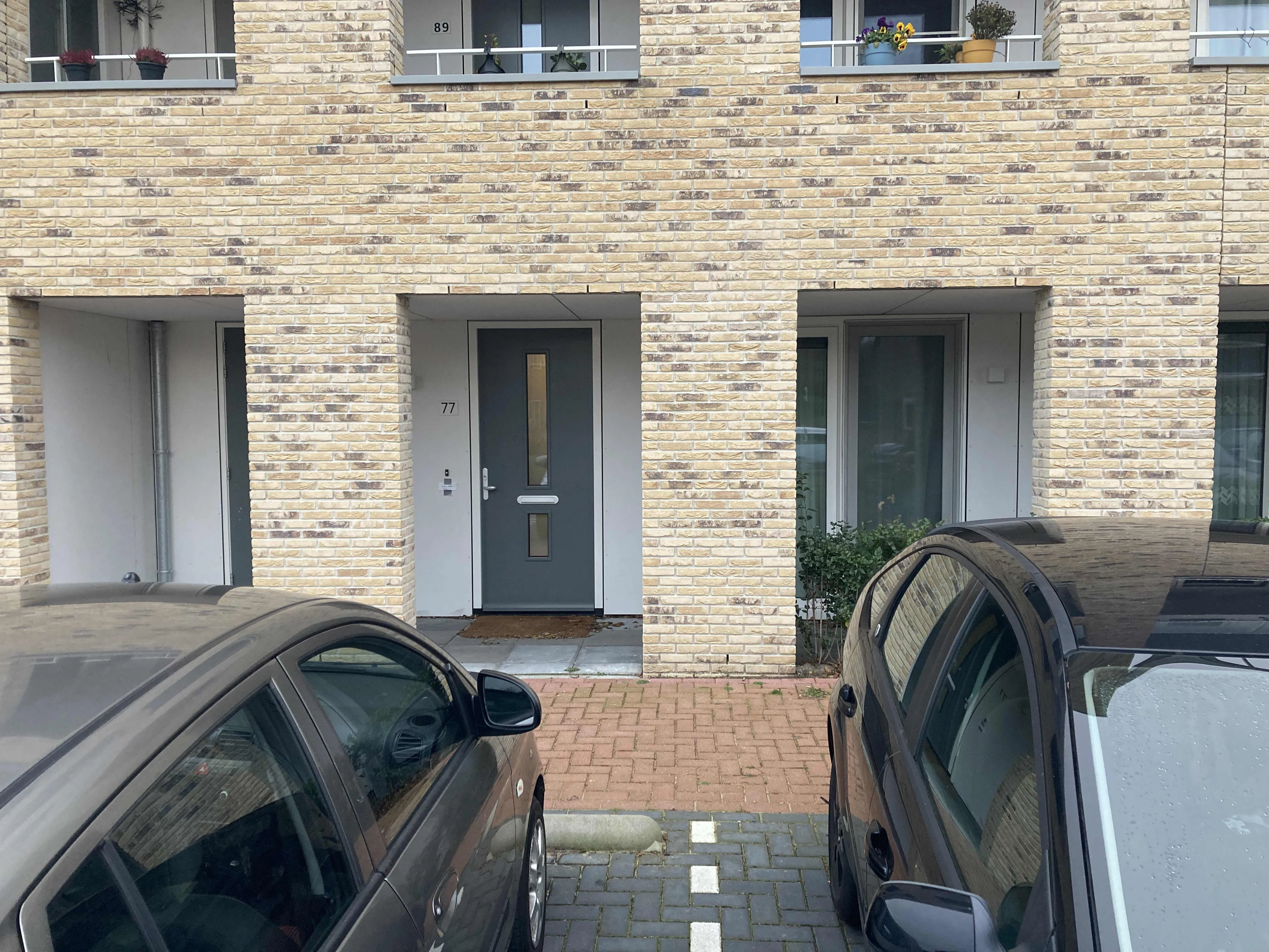 Watermuntstraat