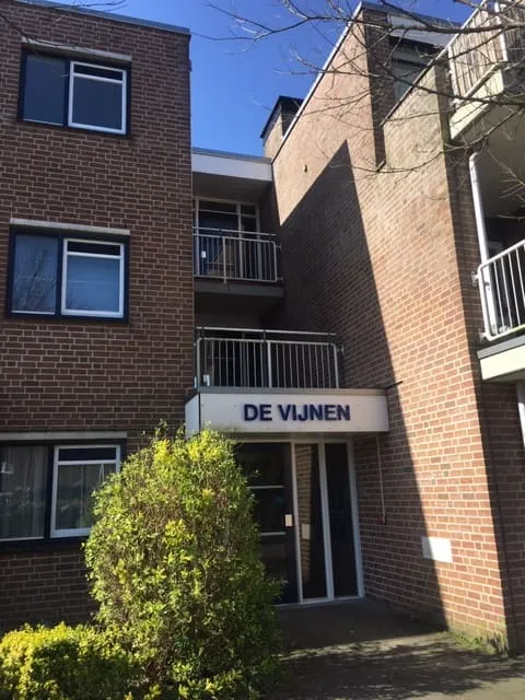 De Vijnen