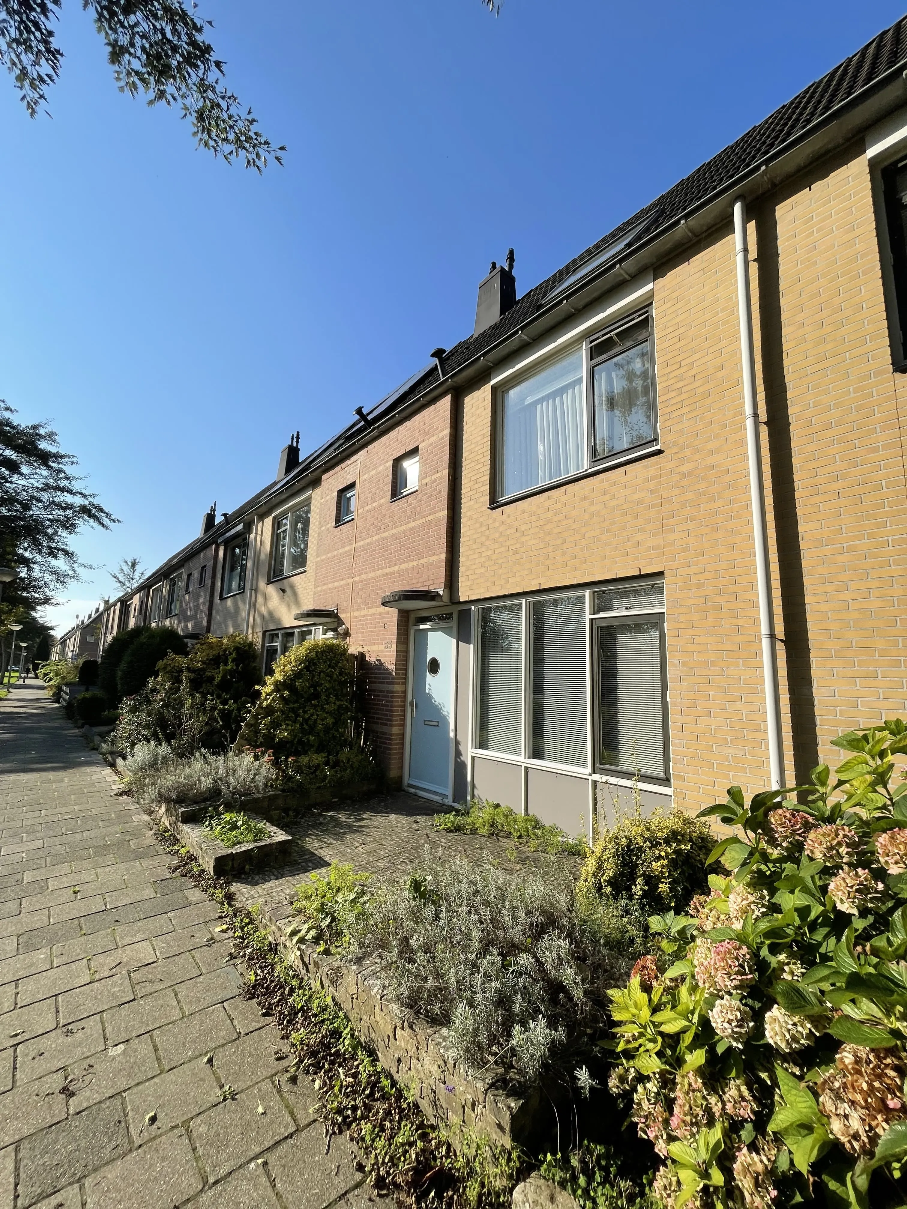 Femina Mullerstraat