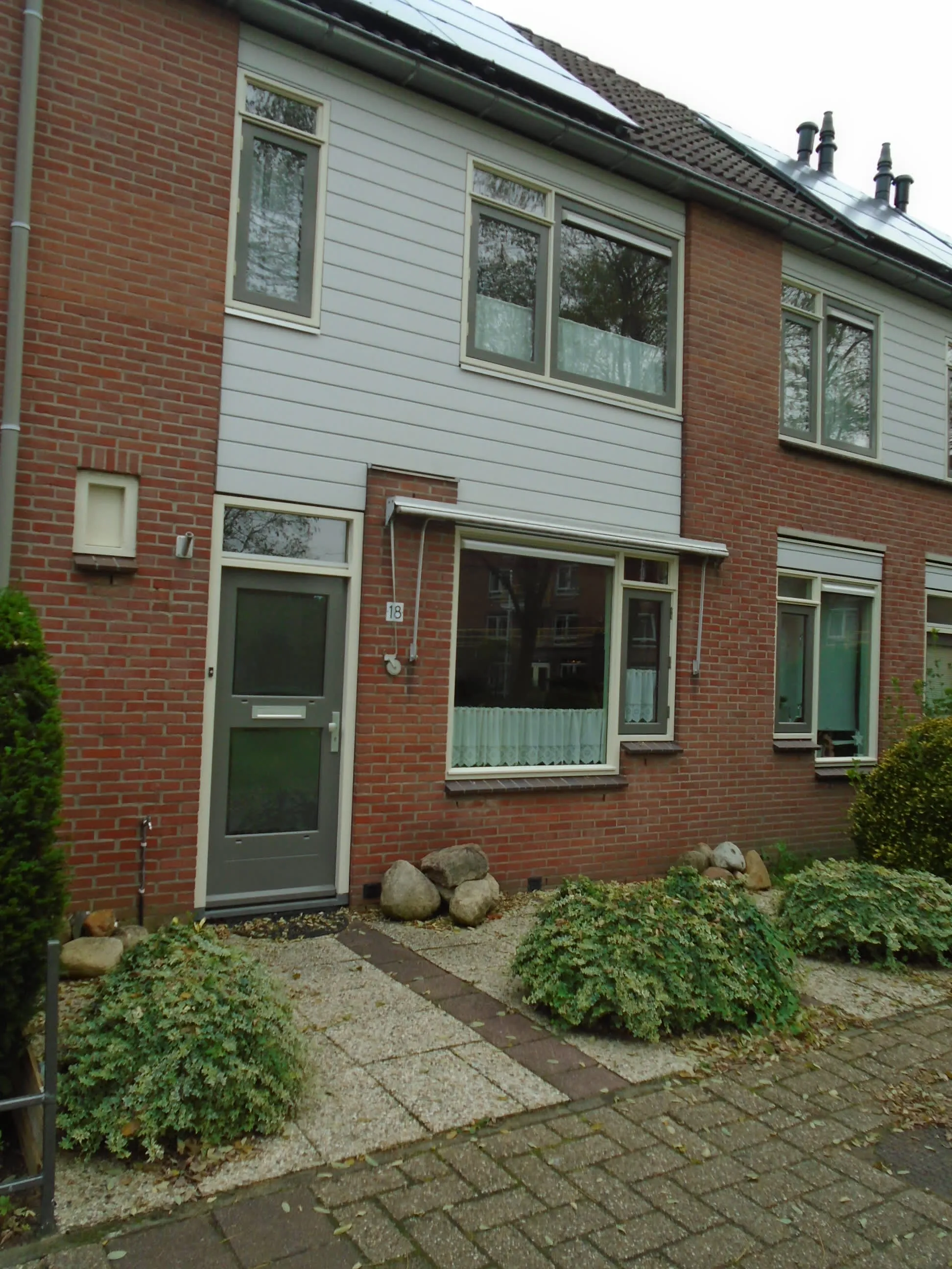 Ooievaar