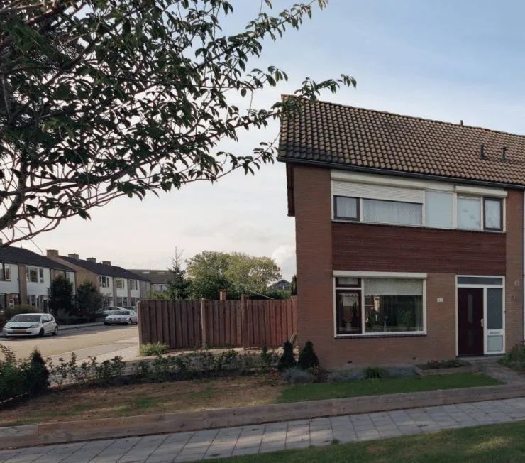 Hoofdveld