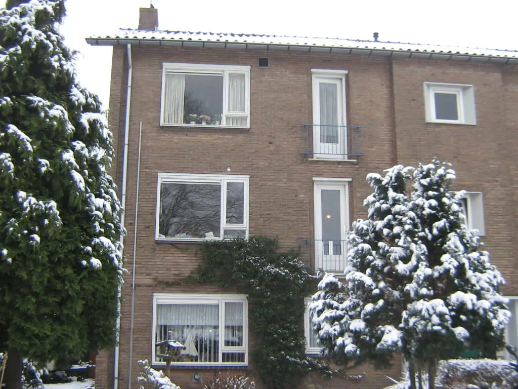 Salmstraat