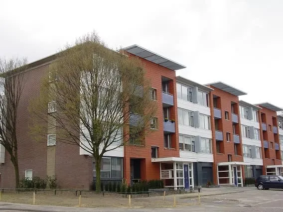 Korenbloemstraat