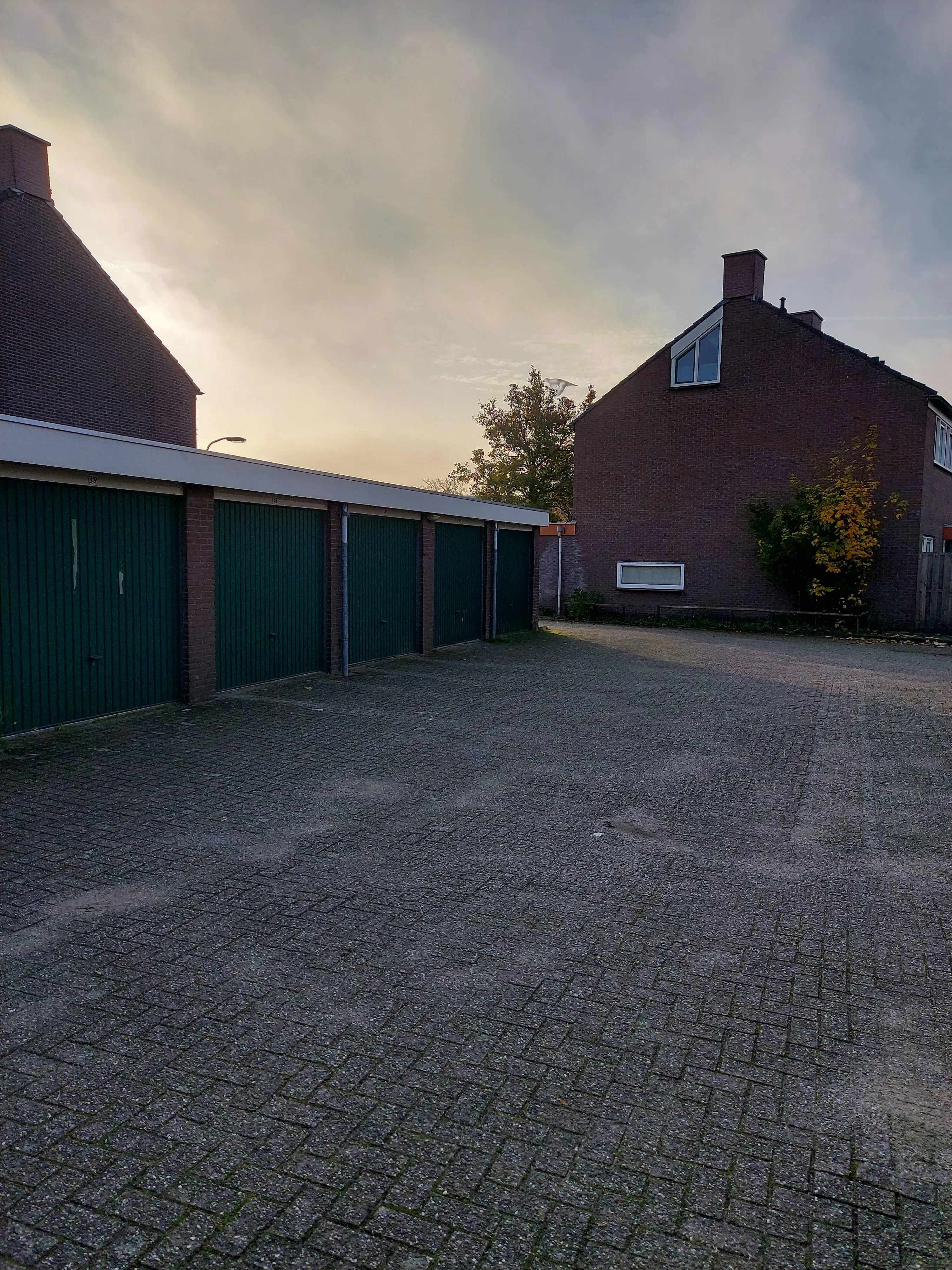 Baden-Powellstraat