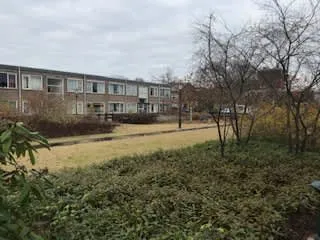 Begoniaplein