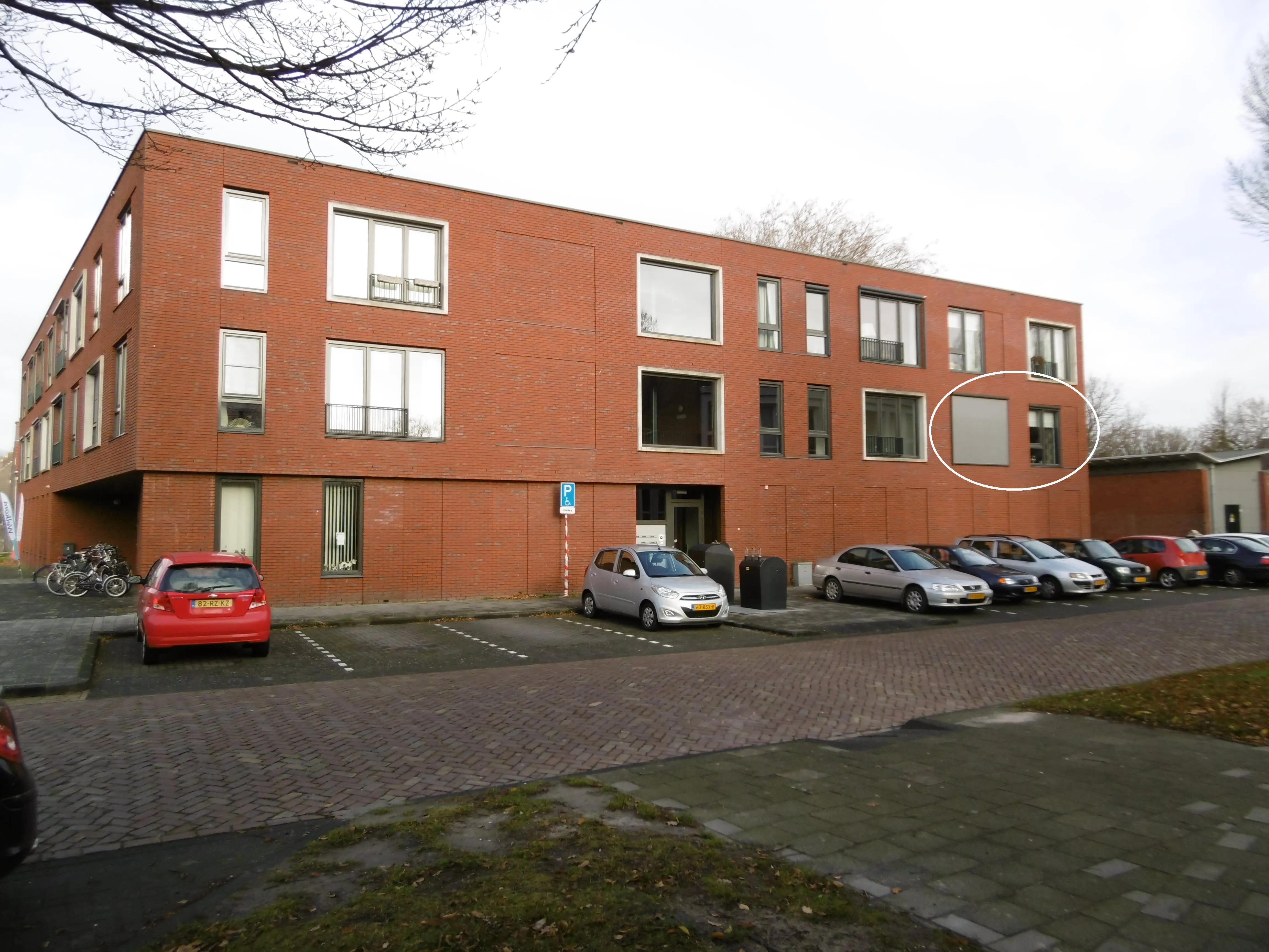 Goudenregenstraat