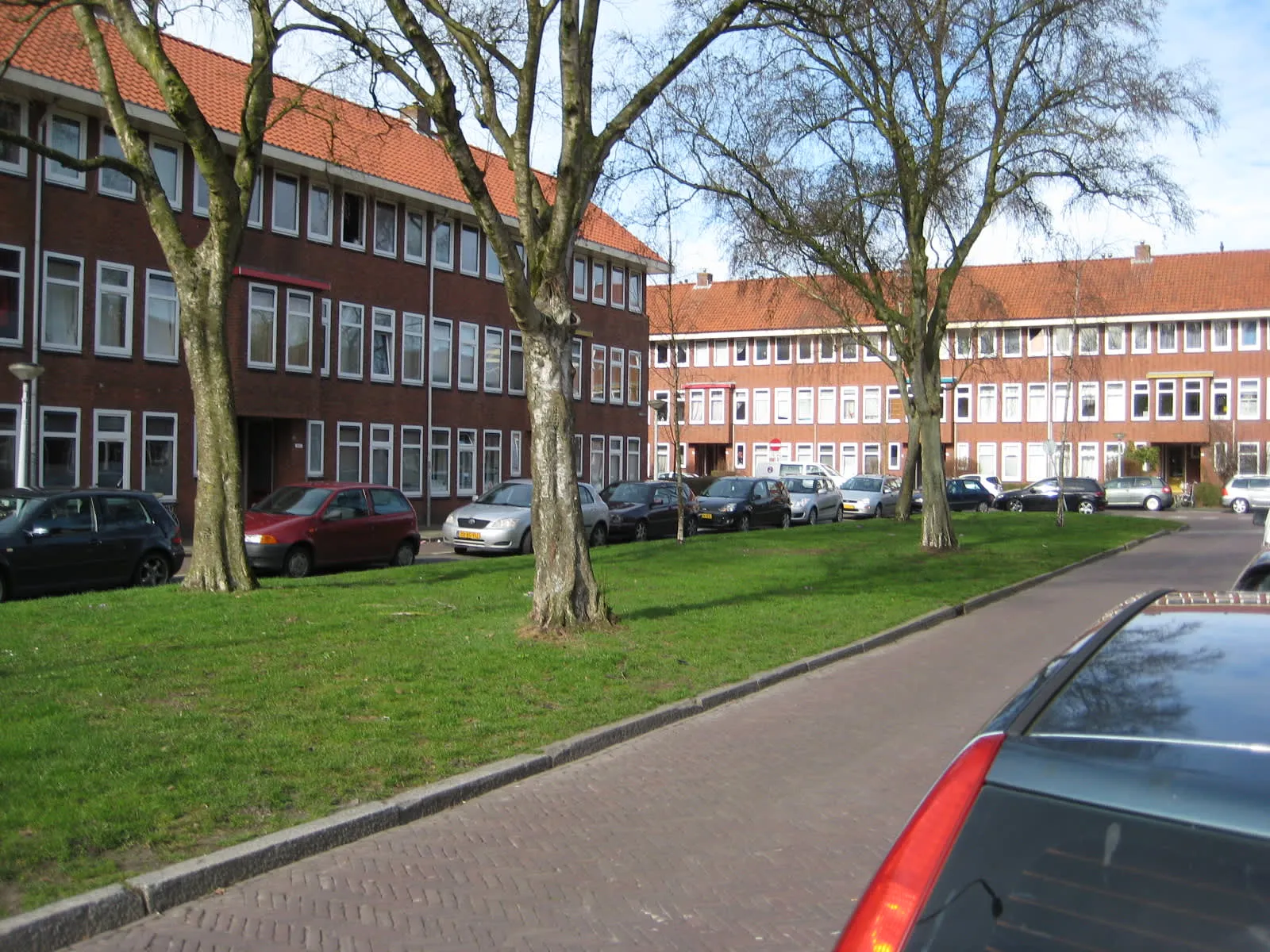 Timorstraat