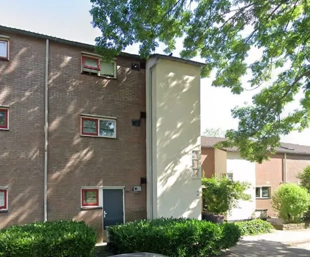 Tolheksbos