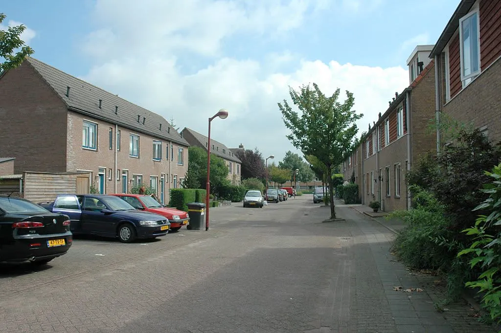 Henriette Roland-Holststraat