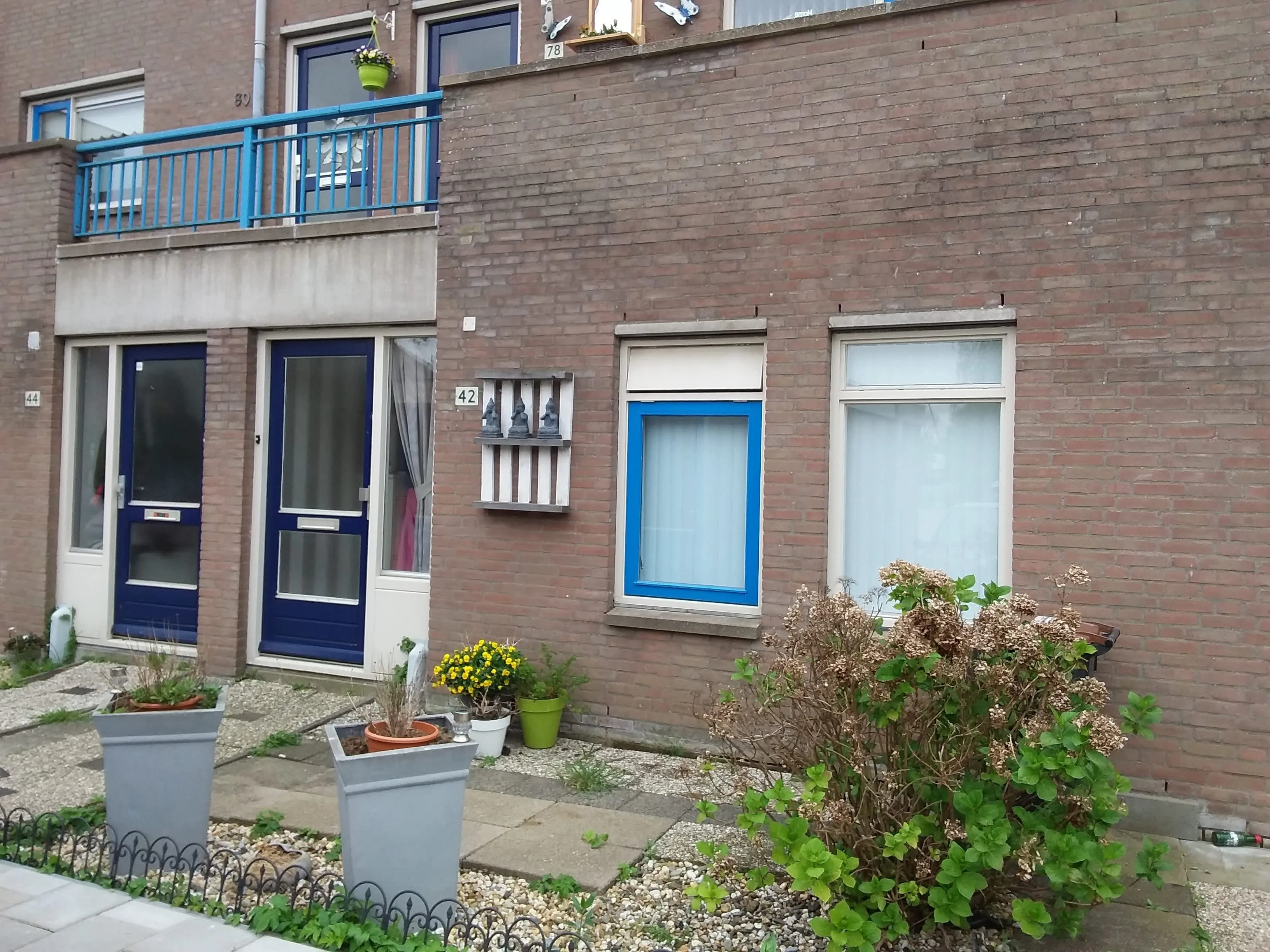 Rietstraat