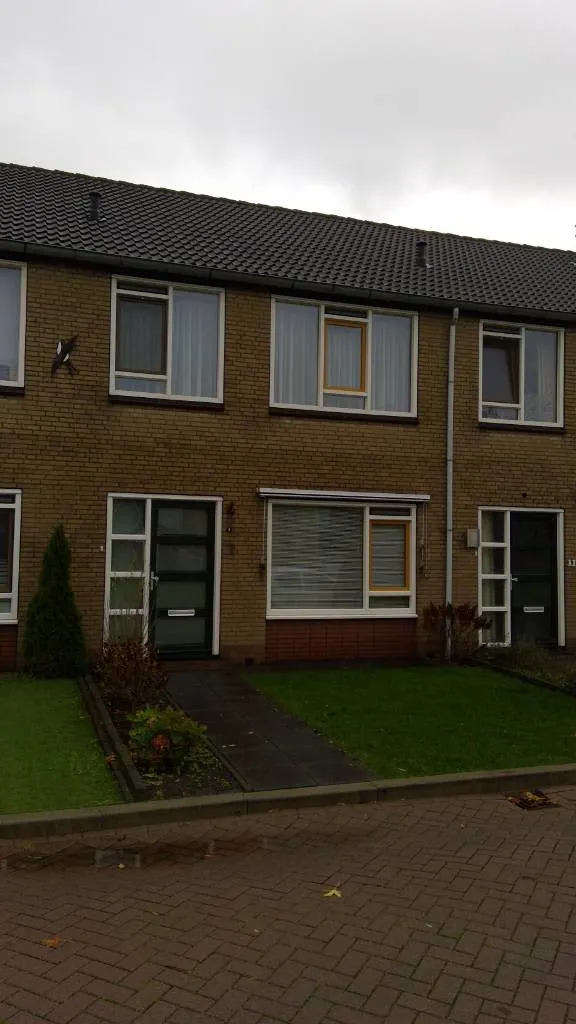 Zwaluwensingel