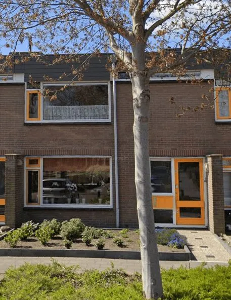 Korenbloemstraat