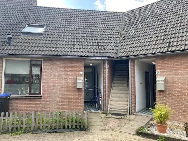 Zeearend