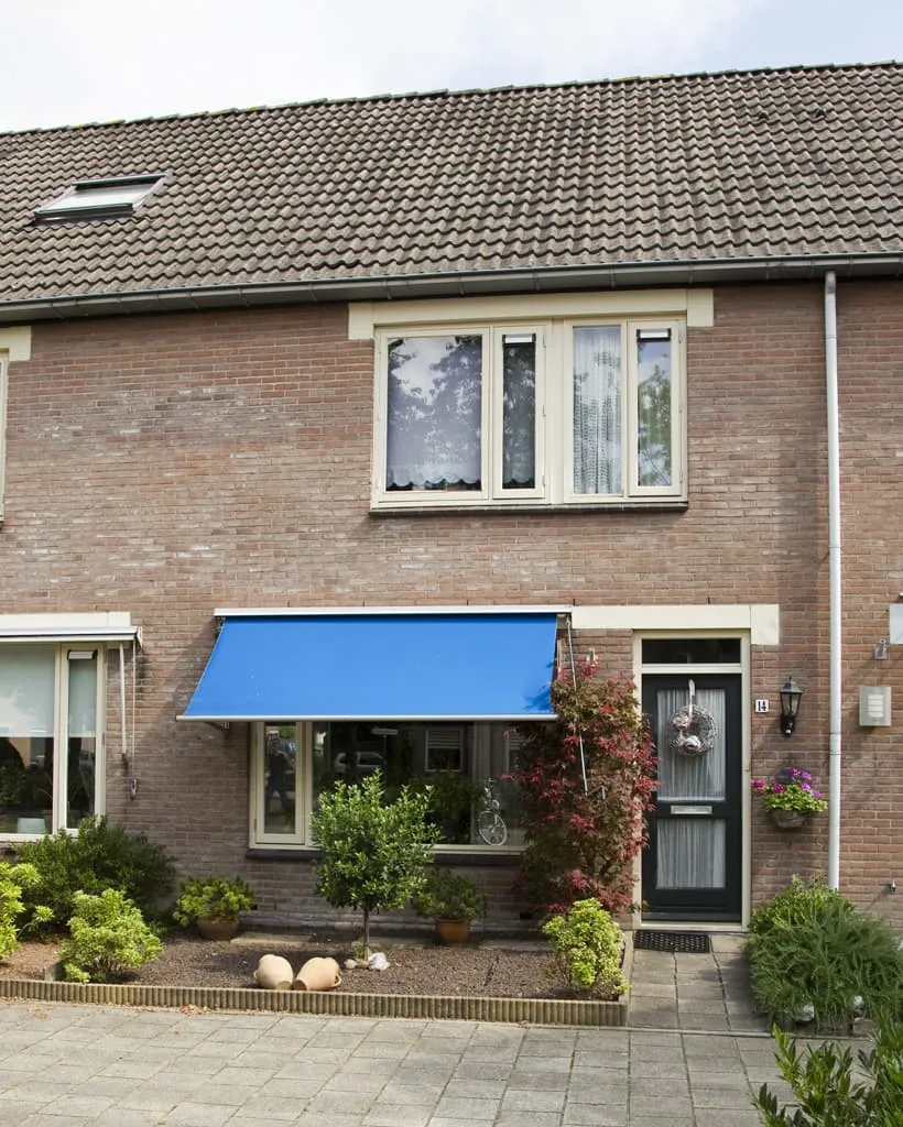 Klipzwaluw