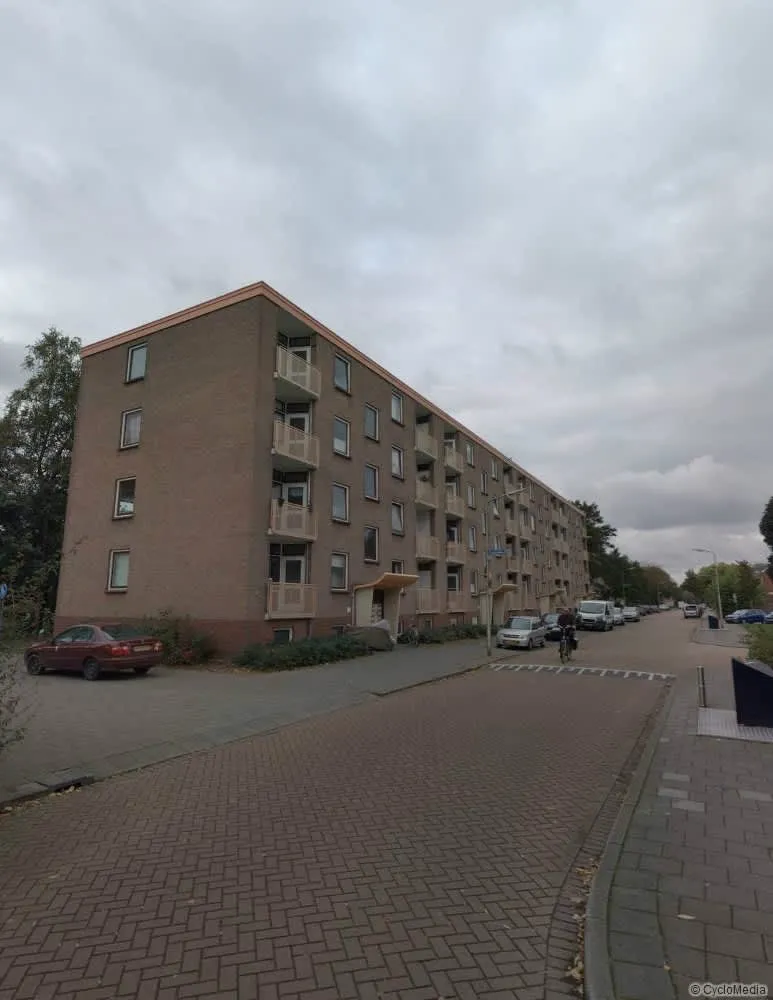 De Savornin Lohmanweg