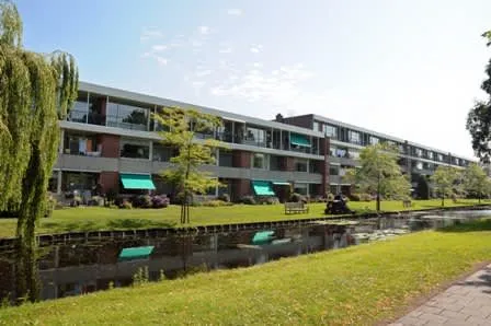 Rijngaarde