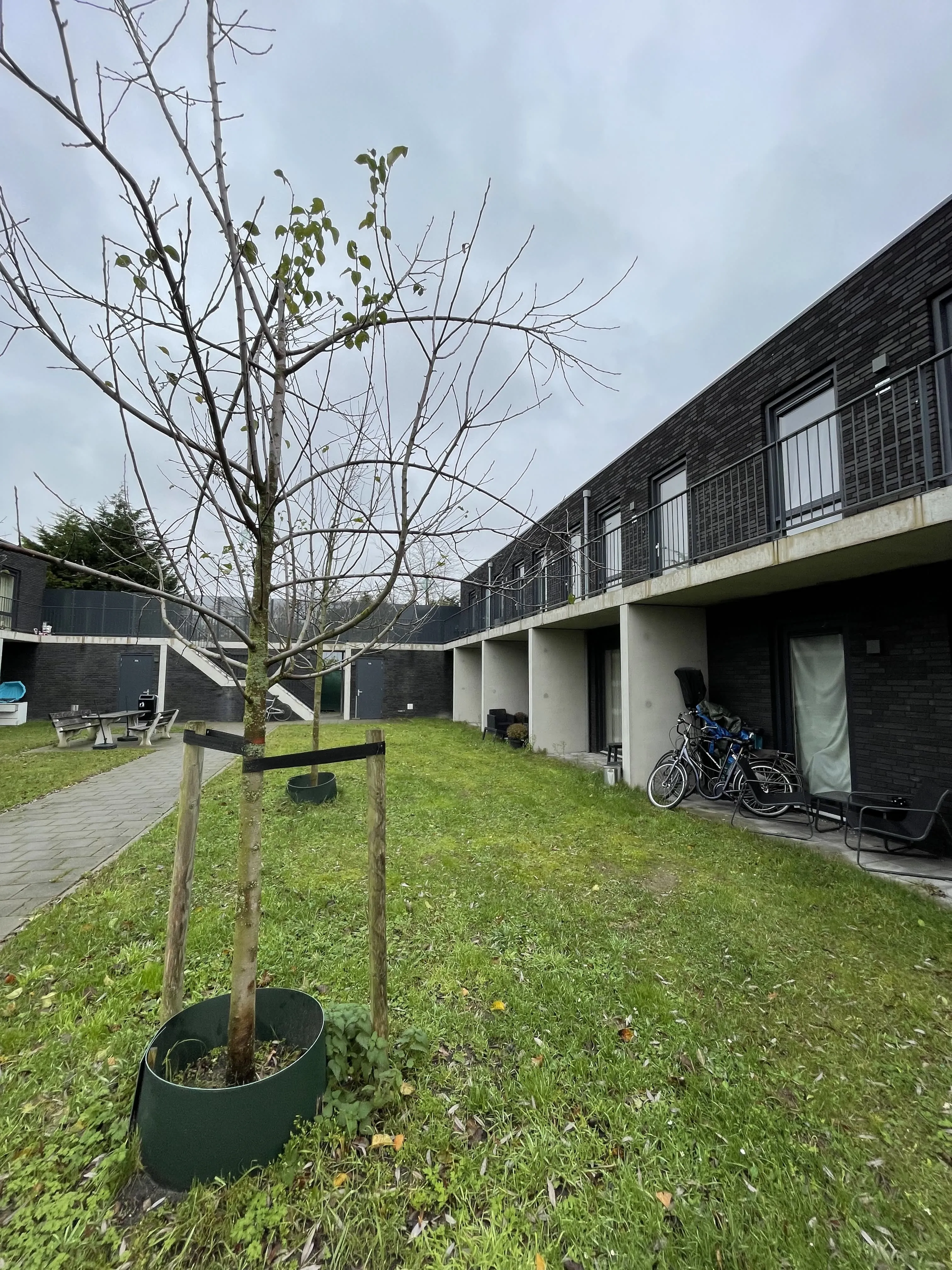 Hoofdweg