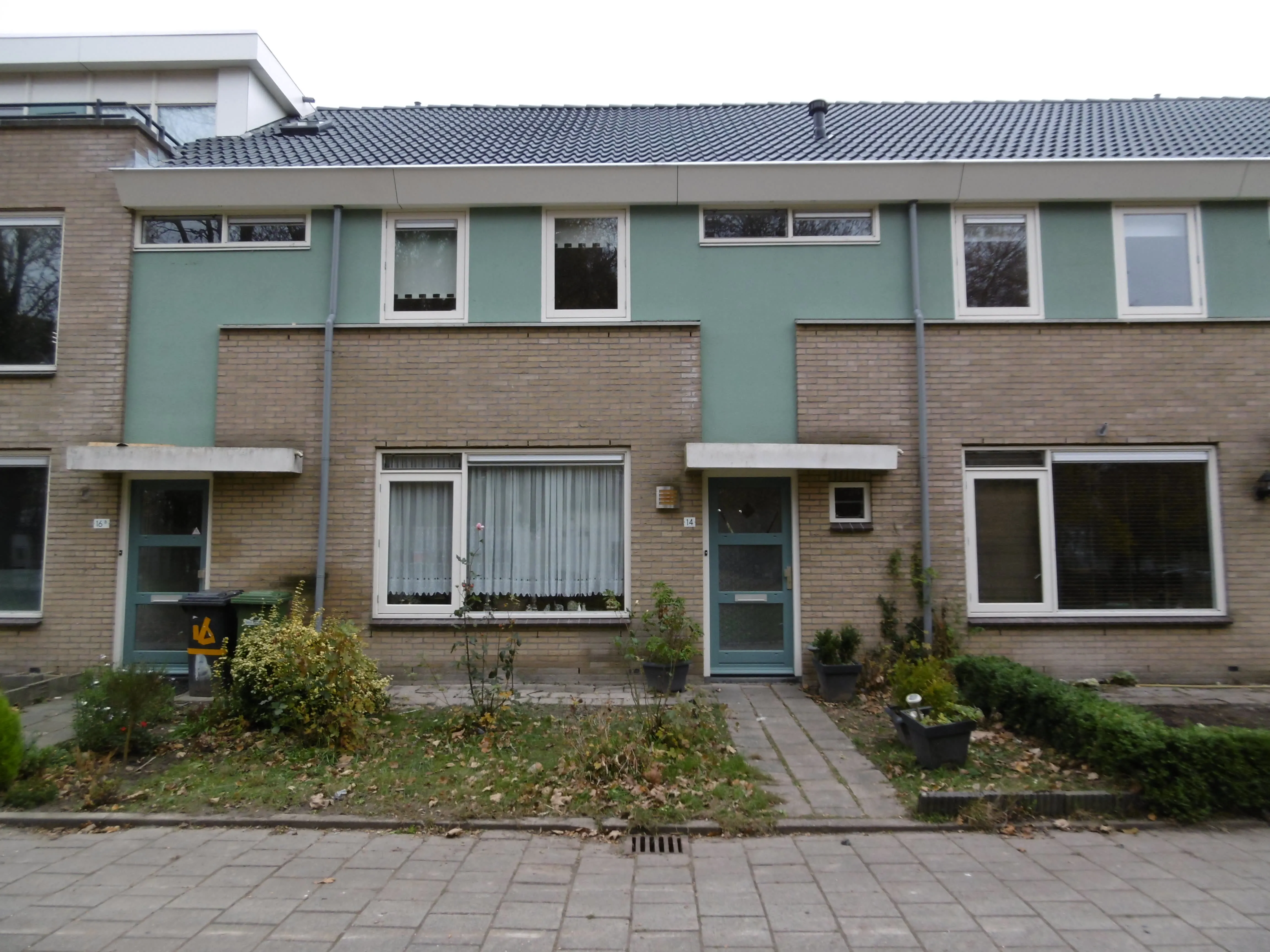 Pegasusstraat