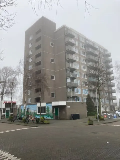 Albert Meijnsstraat