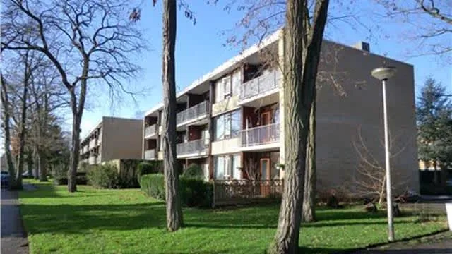 Thorbeckelaan