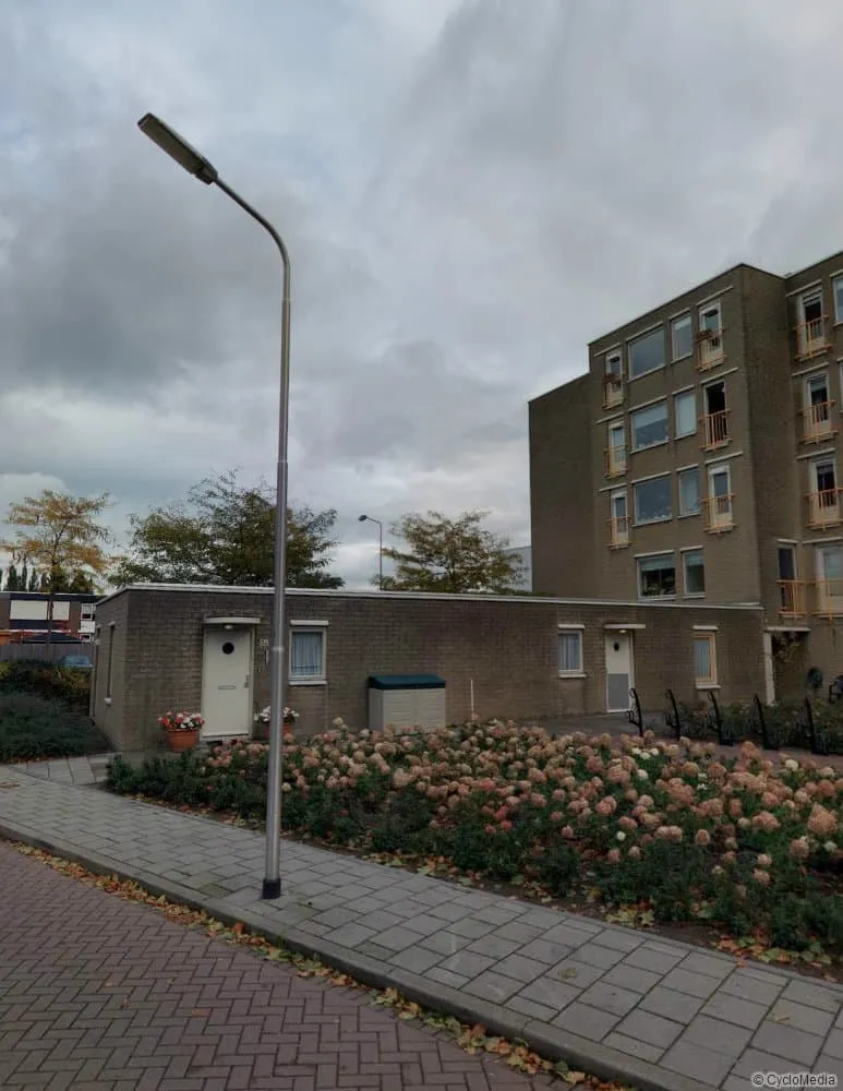 Rijnstraat