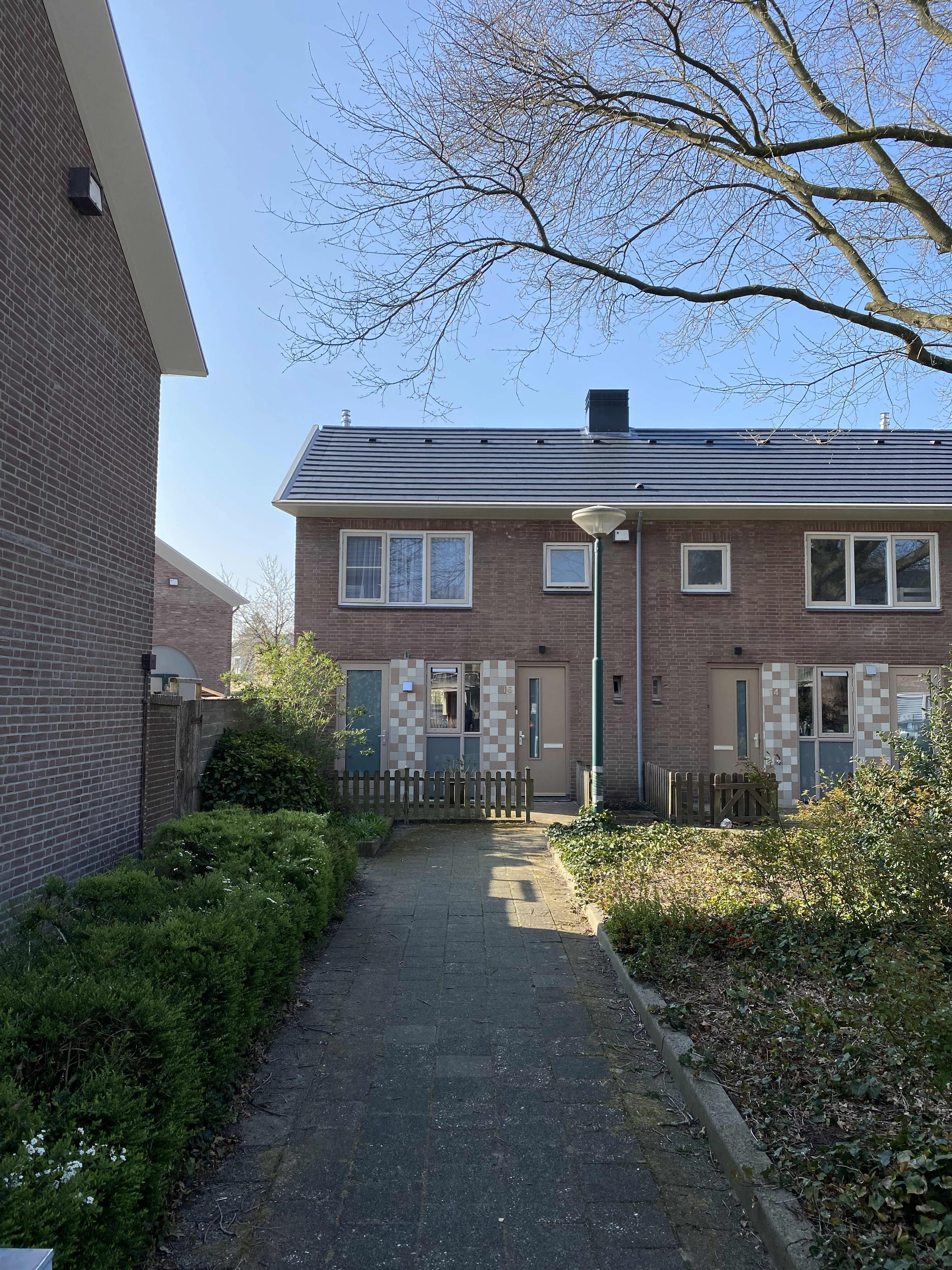 van Berckstraat
