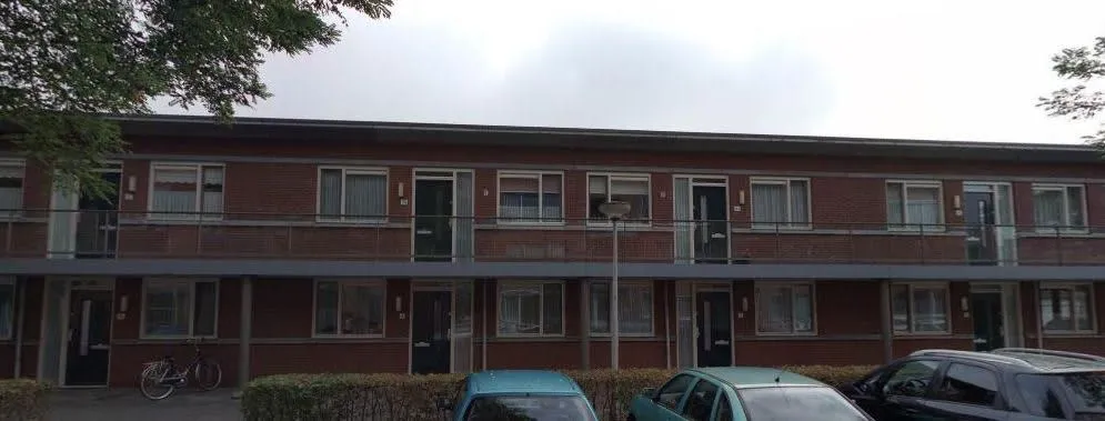 Groene Zoom