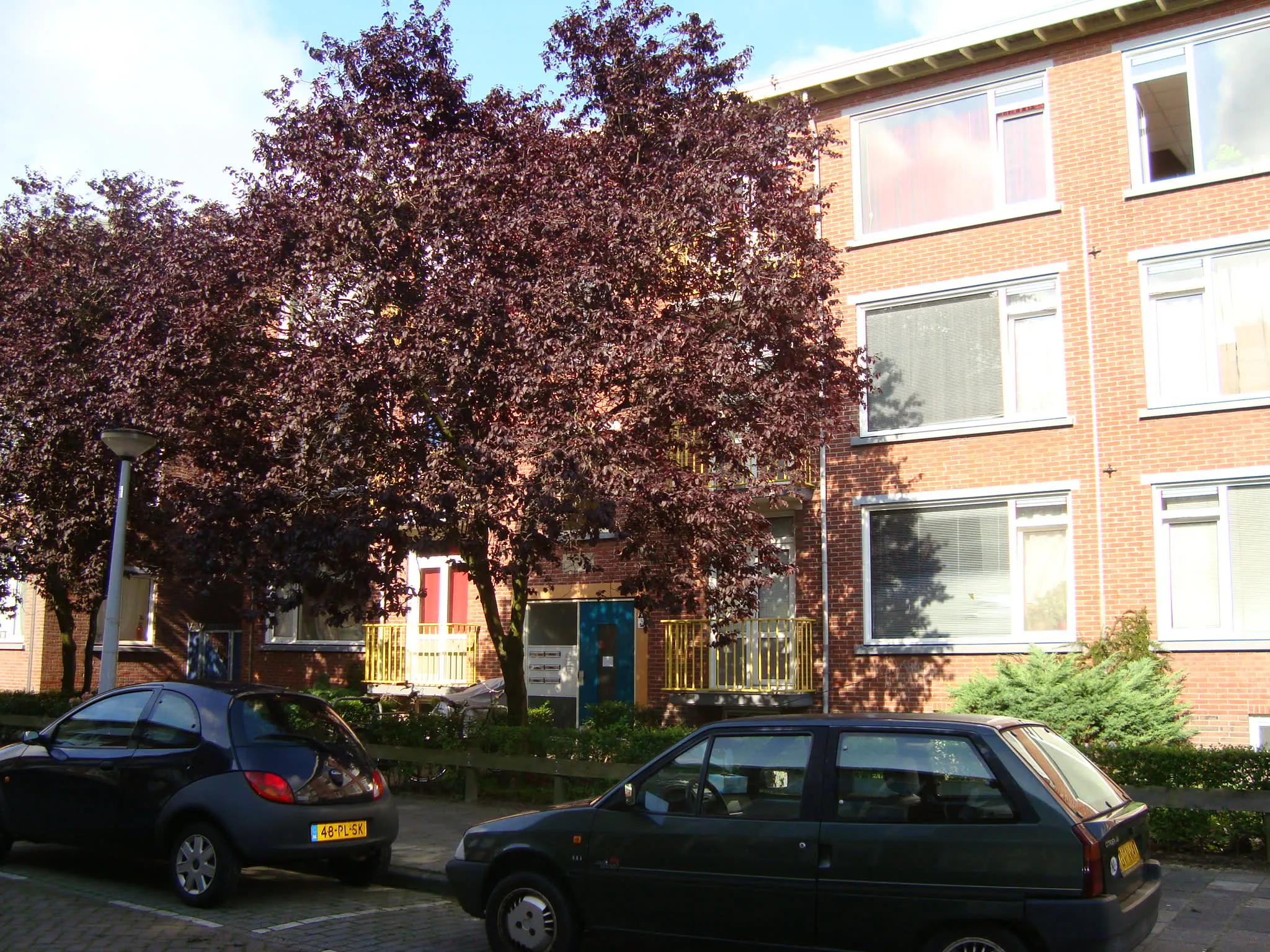 Adriaan Pauwstraat