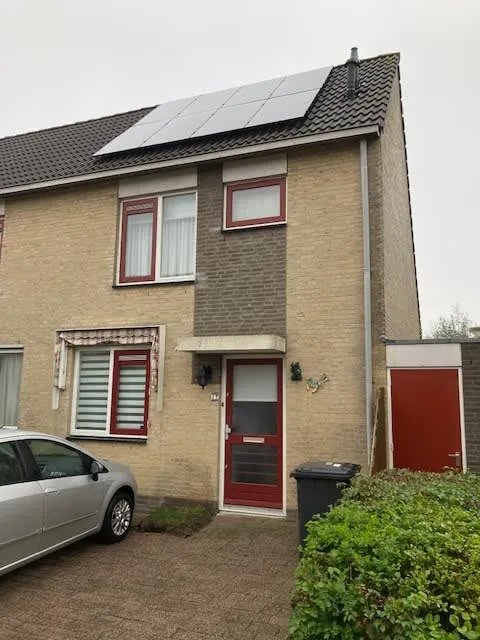 Blauwe Zegge