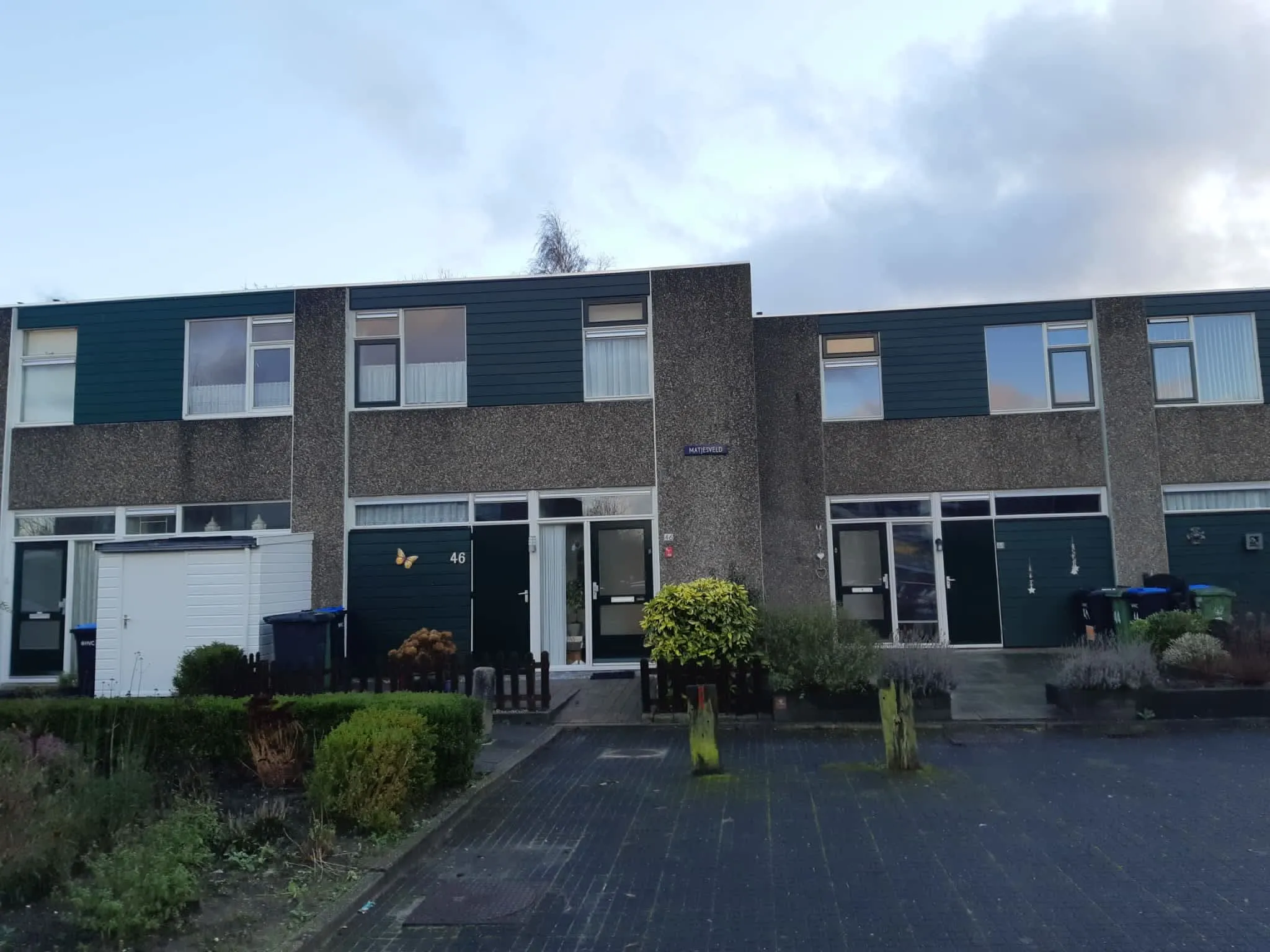 Matjesveld