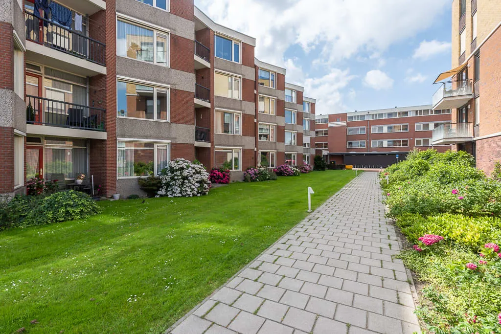 Rijngaarde