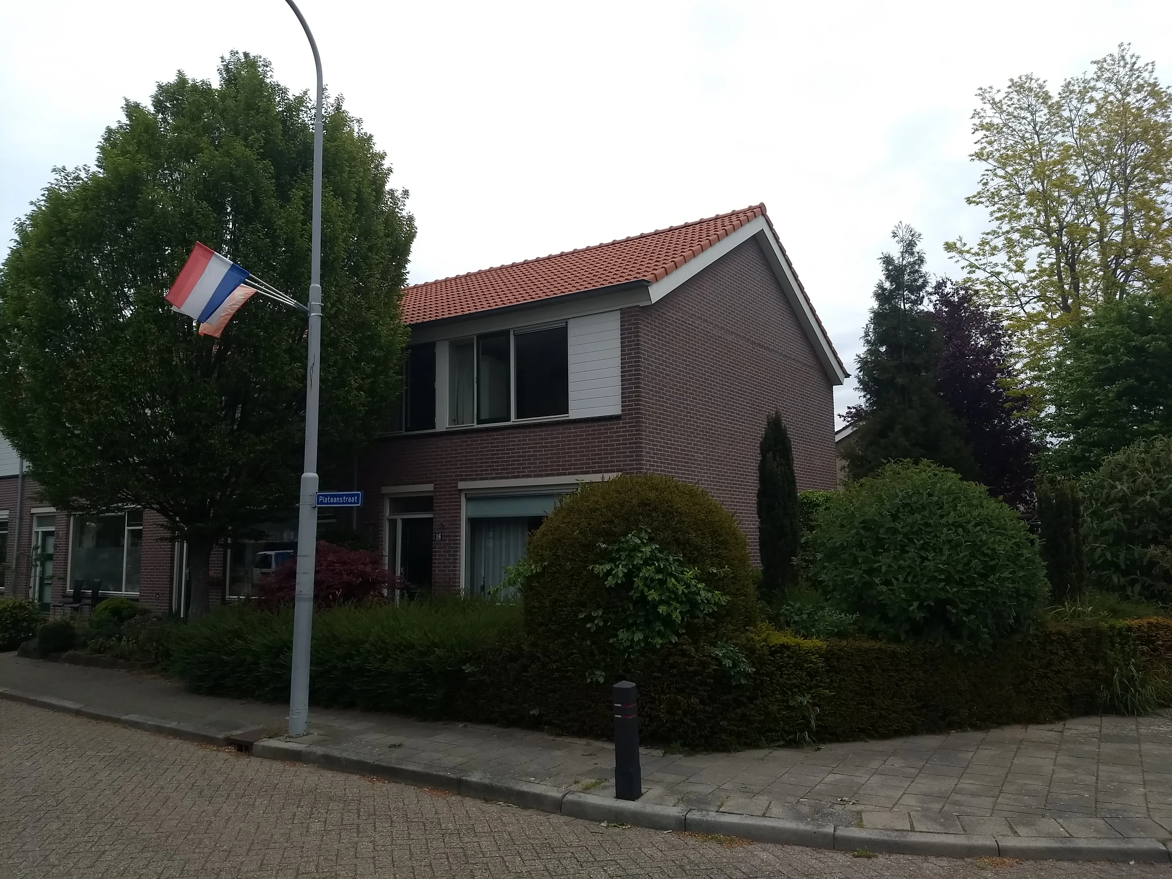 Plataanstraat