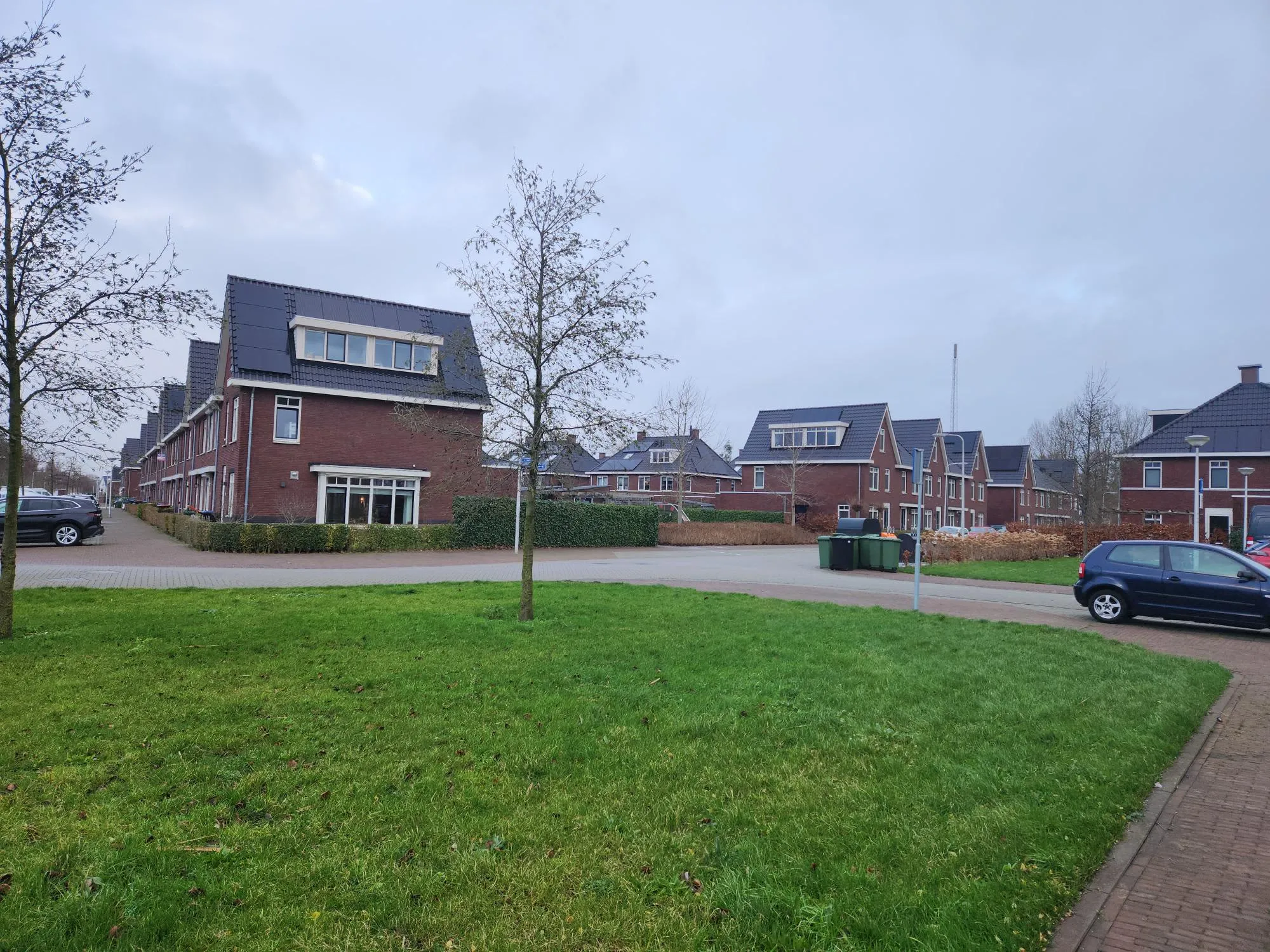 Vlinderpad