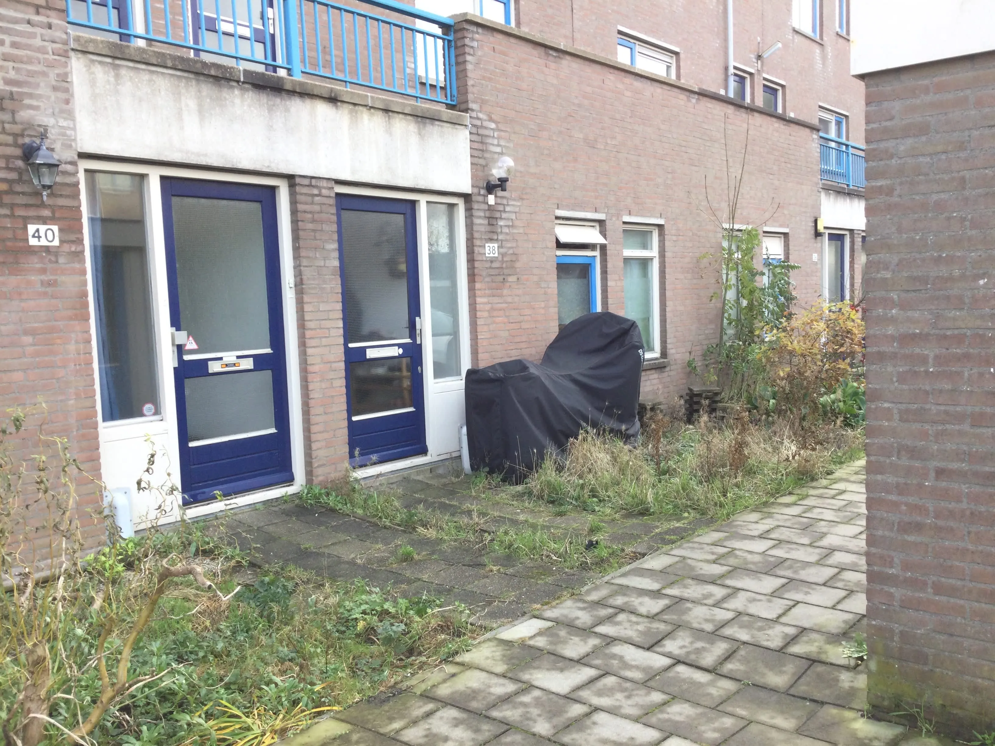 Rietstraat