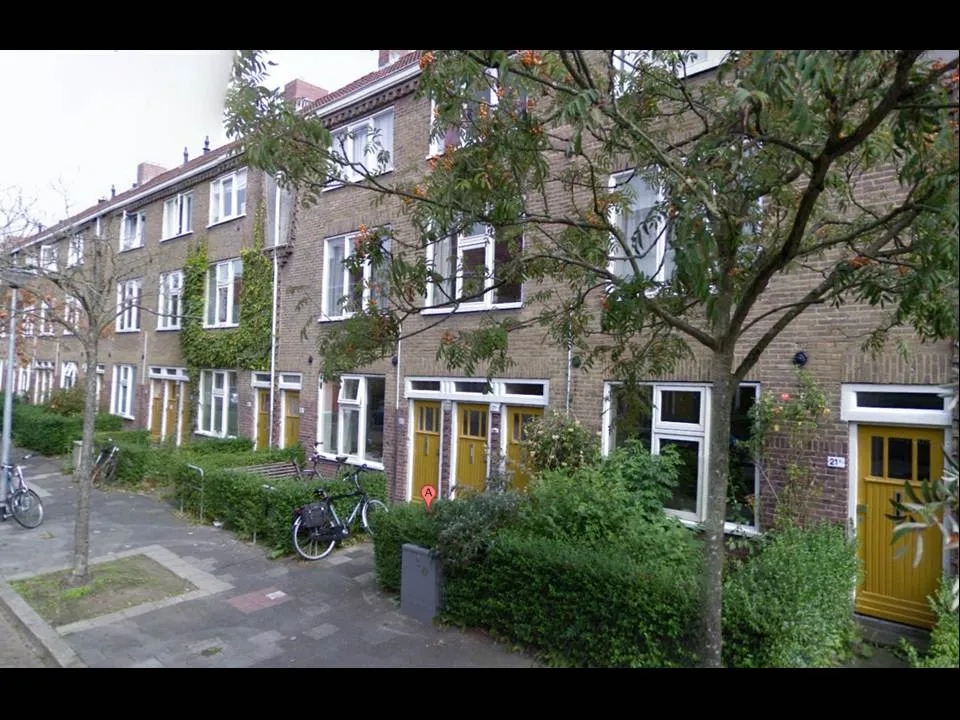 A.P. Fokkerstraat