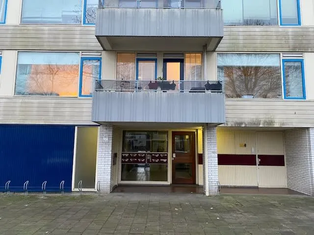 Neckardreef
