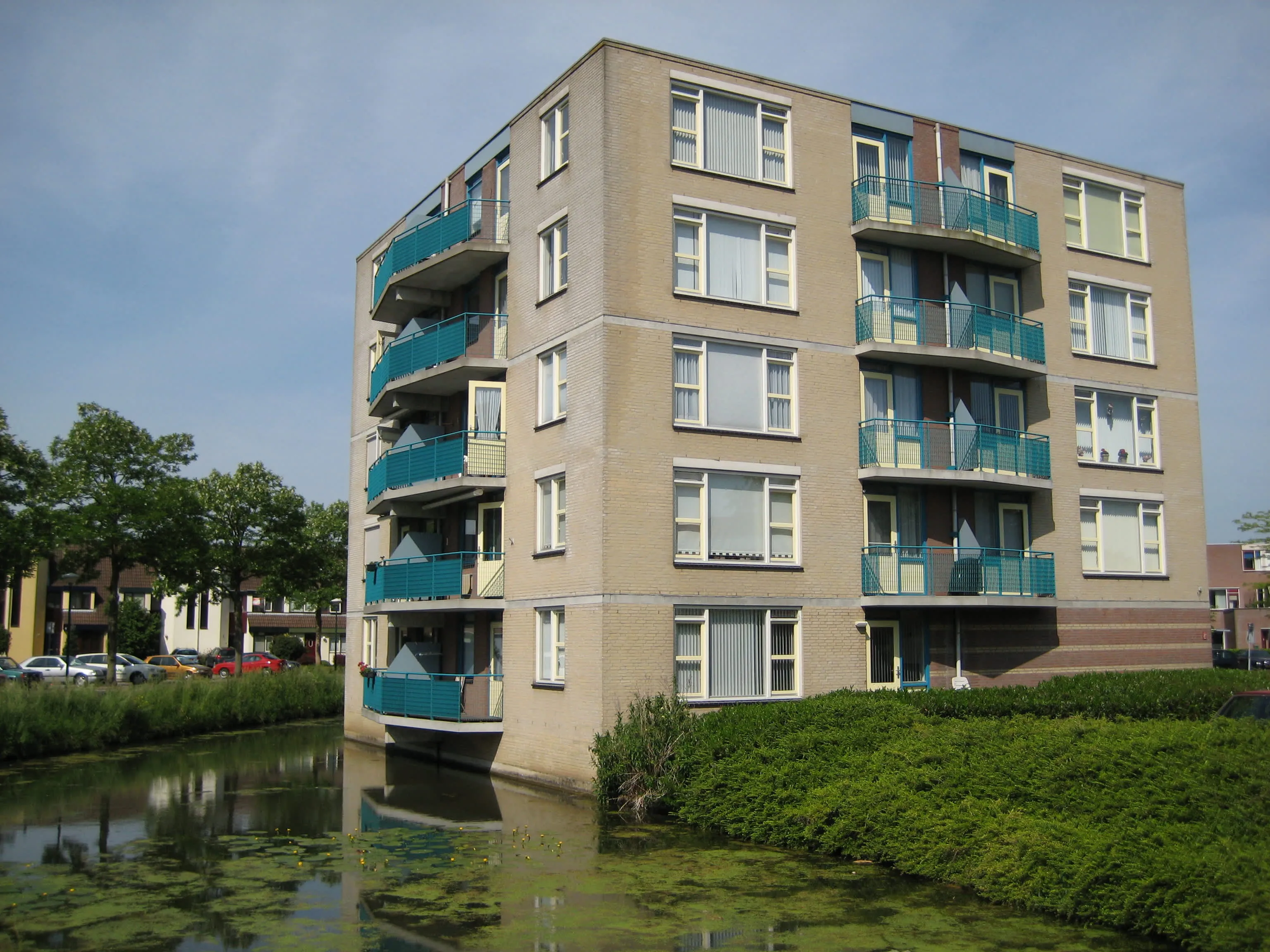 Hoefbladveld