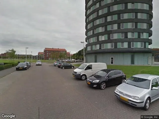 Tijgerpagelaan