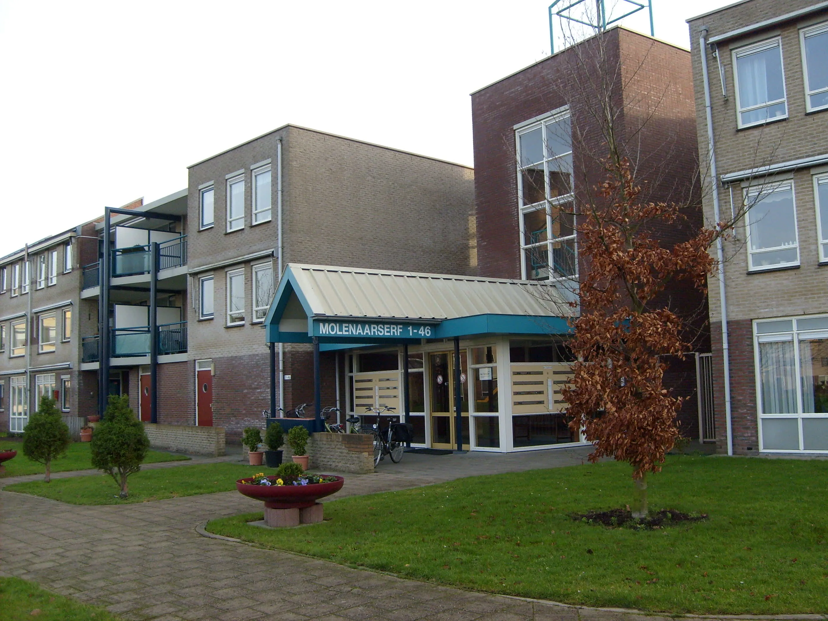 Molenaarserf