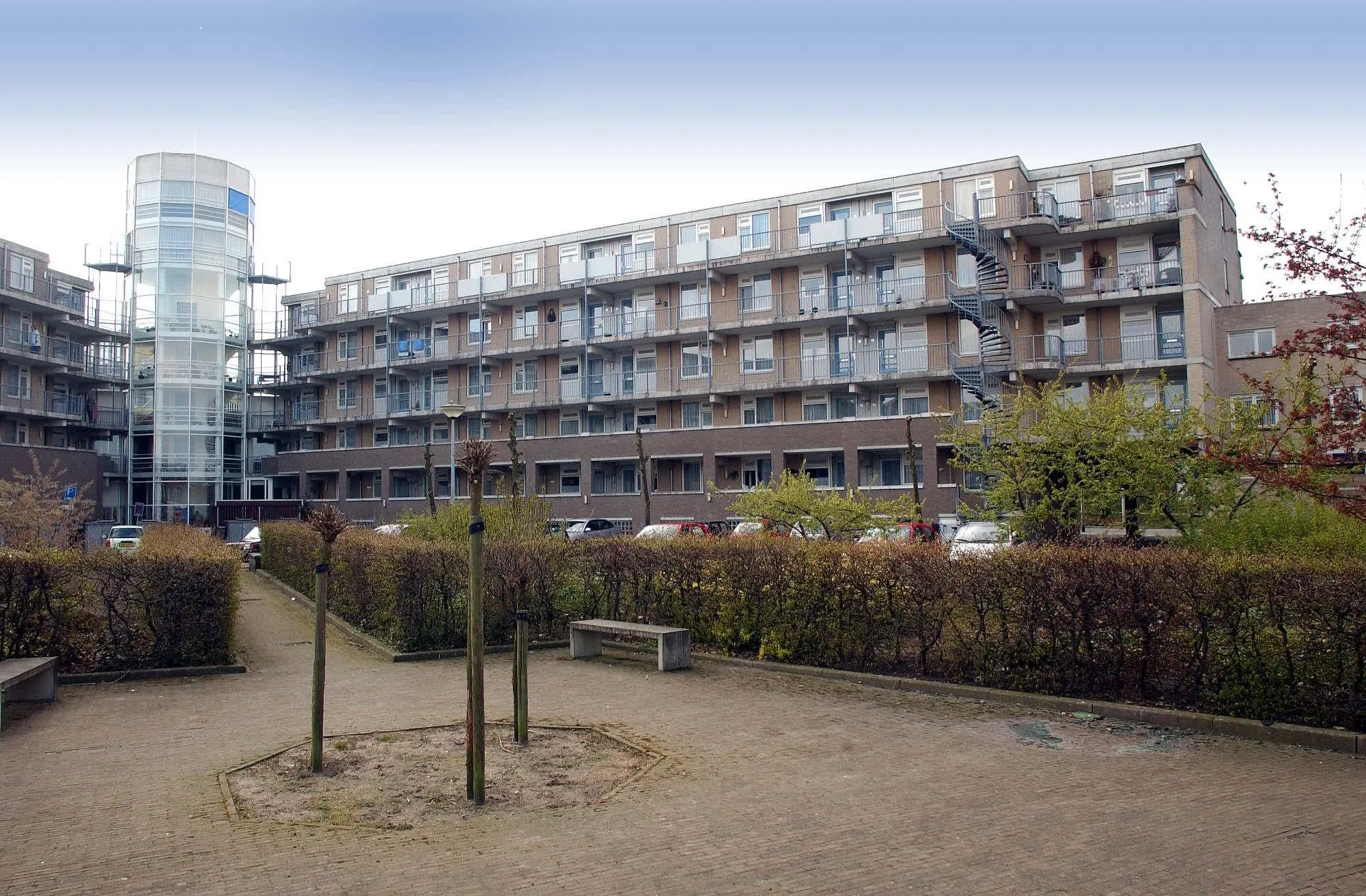 Scheltussingel