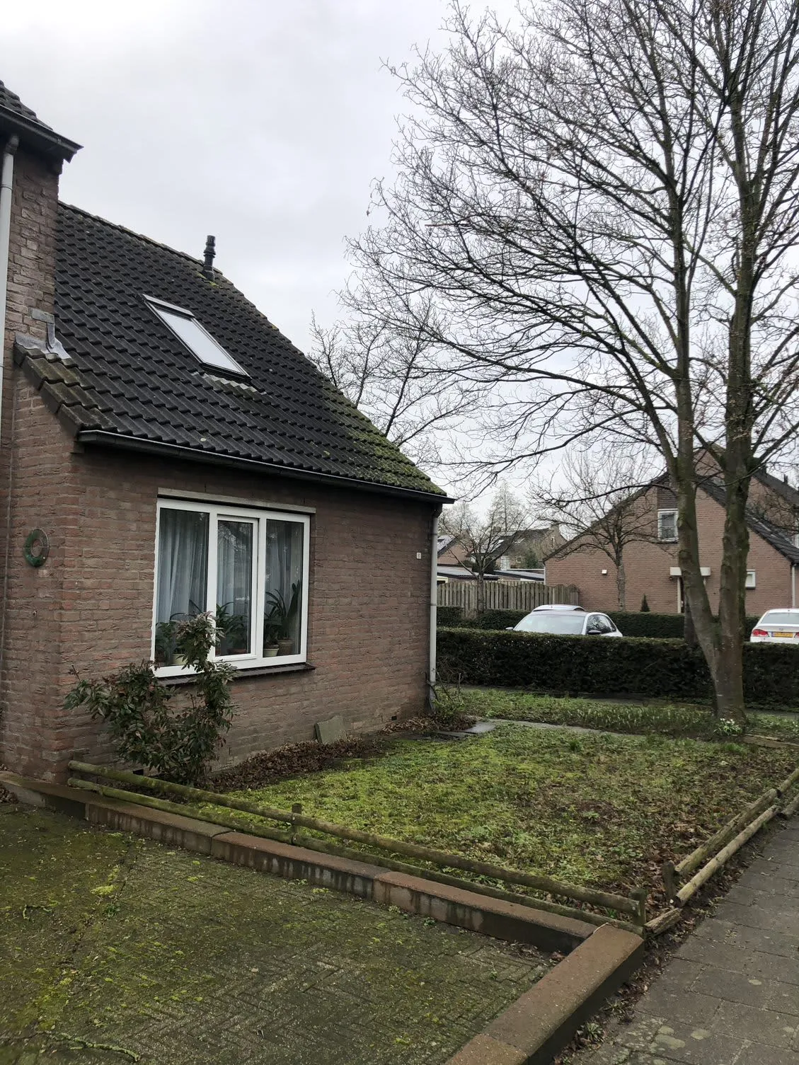 Nieuwe Tijningen
