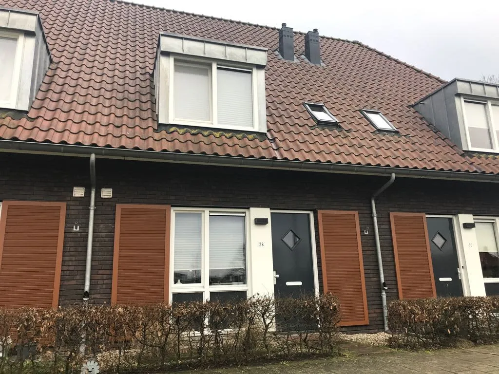 Bietenveld