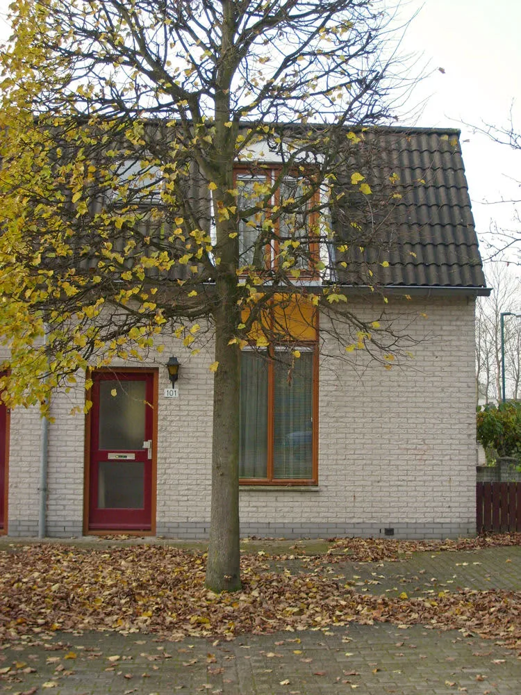 Kievitweide